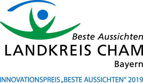 Innovationspreis 2019