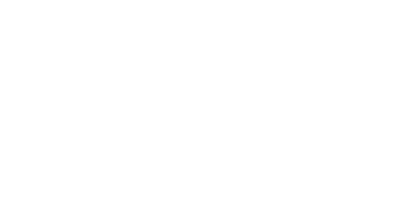 Sommertanzfestival Logo