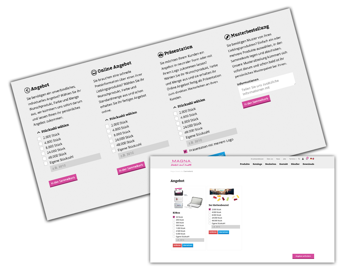Ansicht der enders-Website auf einem MacBook